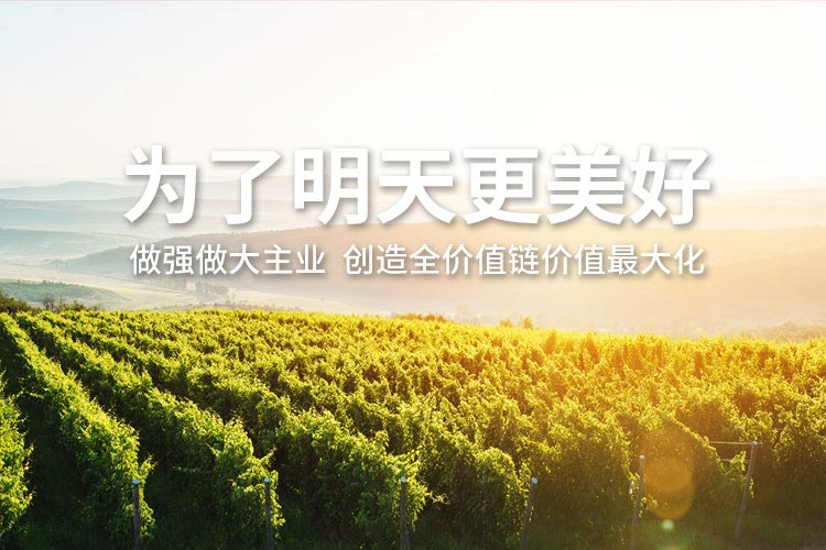 BBIN·宝盈集团(中国)有限公司官网