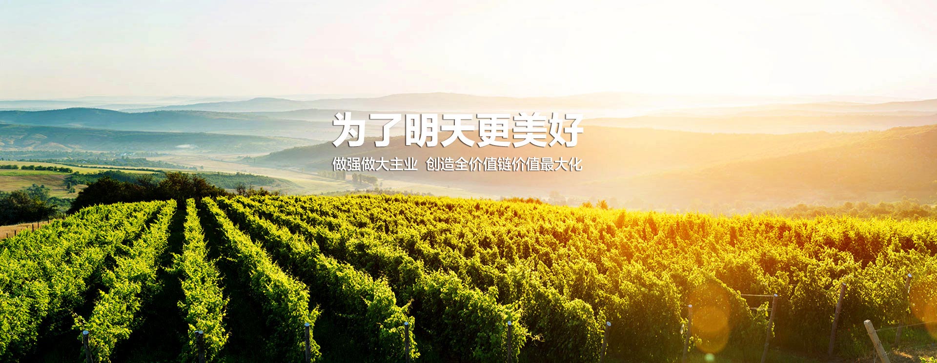 BBIN·宝盈集团(中国)有限公司官网