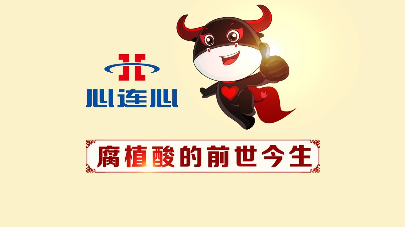 BBIN·宝盈集团(中国)有限公司官网