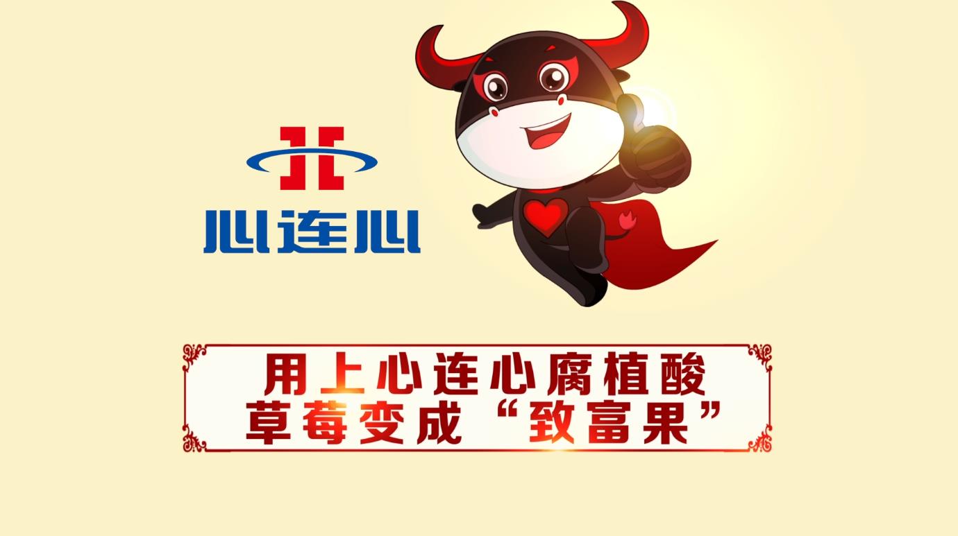 BBIN·宝盈集团(中国)有限公司官网