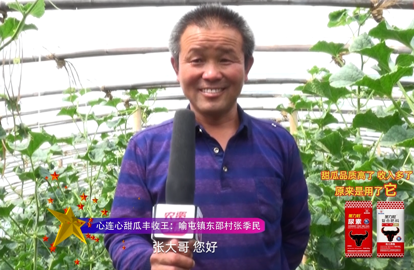 BBIN宝盈甜瓜丰登王