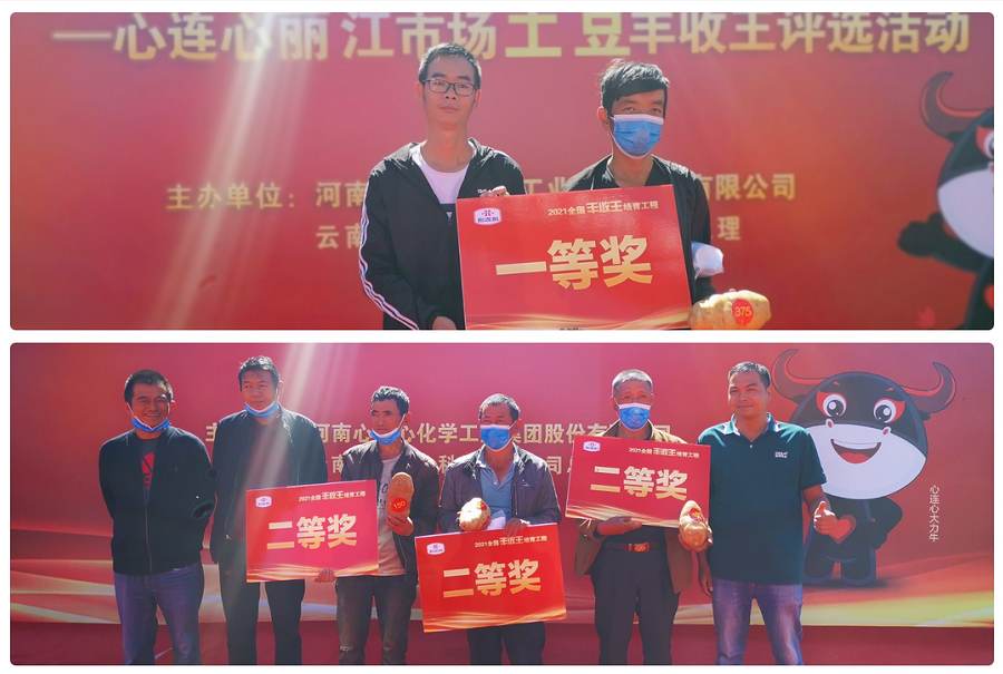喜迎丰登，薯王争霸！！！——BBIN宝盈丽江市场土豆丰登王评比活动成功进行